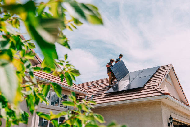 Best Roof Moss and Algae Removal  in Harlem, GA