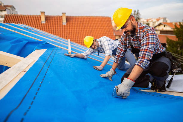 Best Green or Eco-Friendly Roofing Solutions  in Harlem, GA