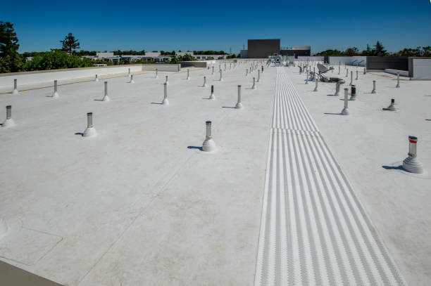 Best Roof Insulation Installation  in Harlem, GA